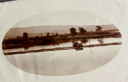 Rice farm in Burma 1917 Phileo, George West, compiler, photographer
