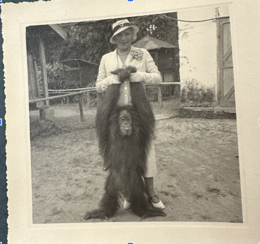 European women posing with an orangutan in Sumatra.